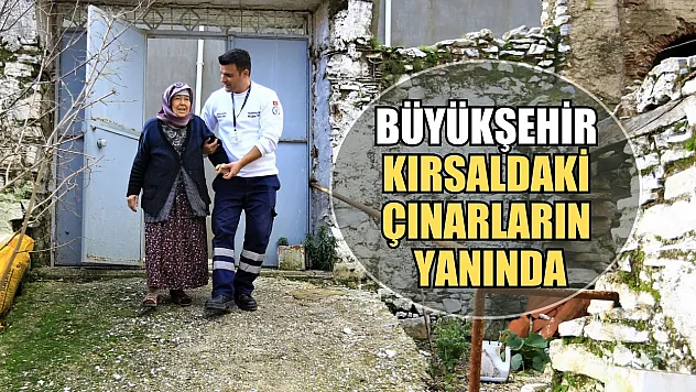 Büyükşehir kırsaldaki çınarların yanında