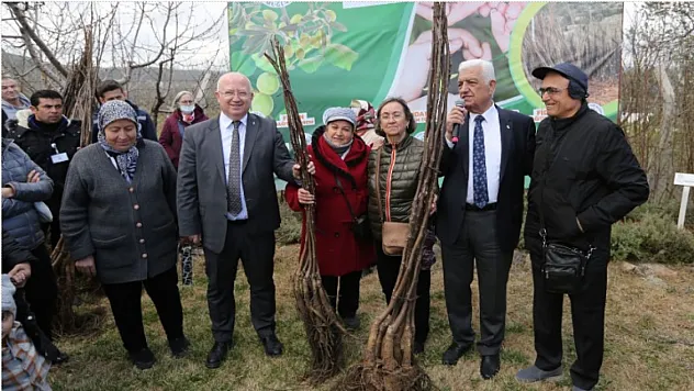 Büyükşehir Üreticilere Meyve Fidanı Dağıtımına Başladı