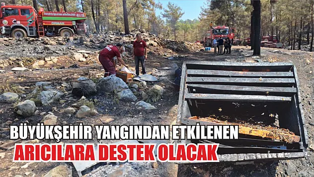 Büyükşehir Yangından Etkilenen Arıcılara Destek Olacak 
