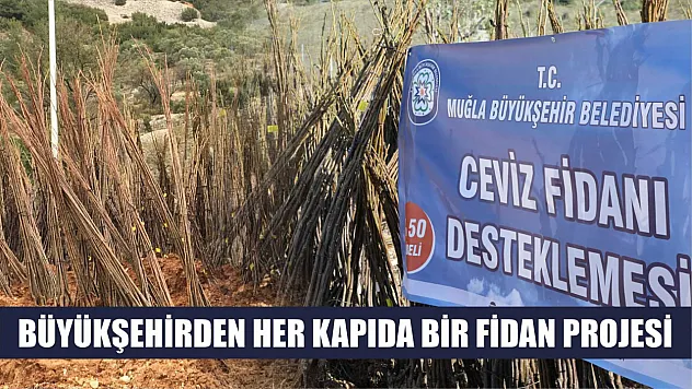 Büyükşehirden Her Kapıda Bir Fidan Projesi 