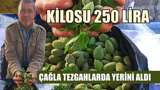 Çağla tezgahlarda yerini aldı: Kilosu 250 lira