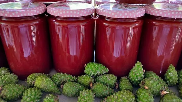 Çam Kozalağı Şurubunun Mucizesi