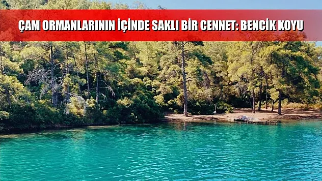 Çam Ormanlarının İçinde Saklı Bir Cennet: Bencik Koyu
