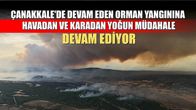 Çanakkale'de devam eden orman yangınına havadan ve karadan yoğun müdahale devam ediyor