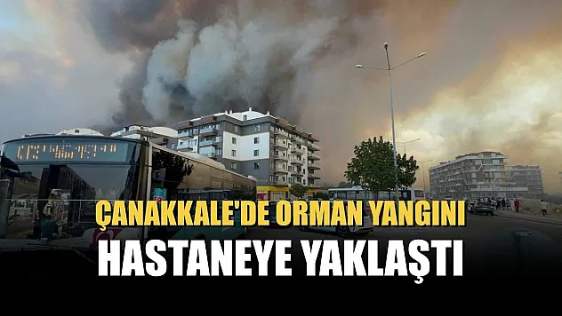 Çanakkale'de orman yangını hastaneye yaklaştı