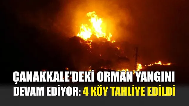 Çanakkale'deki orman yangını devam ediyor: 4 köy tahliye edildi
