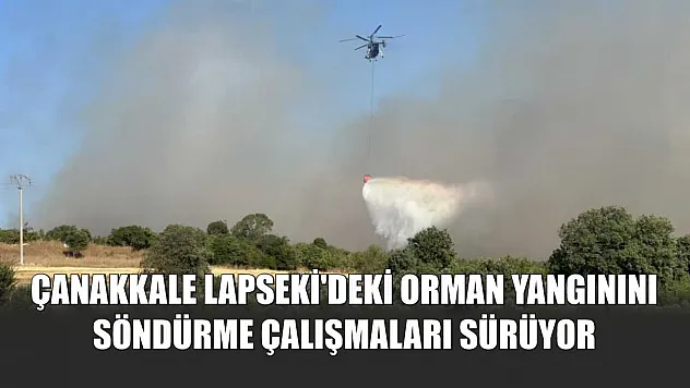 Çanakkale Lapseki'deki orman yangınını söndürme çalışmaları sürüyor