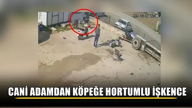 Cani adamdan köpeğe hortumlu işkence