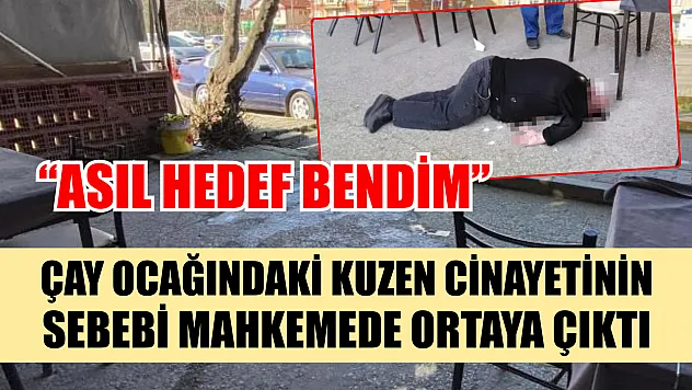 Çay ocağındaki kuzen cinayetinin sebebi mahkemede ortaya çıktı: 'Asıl hedef bendim'