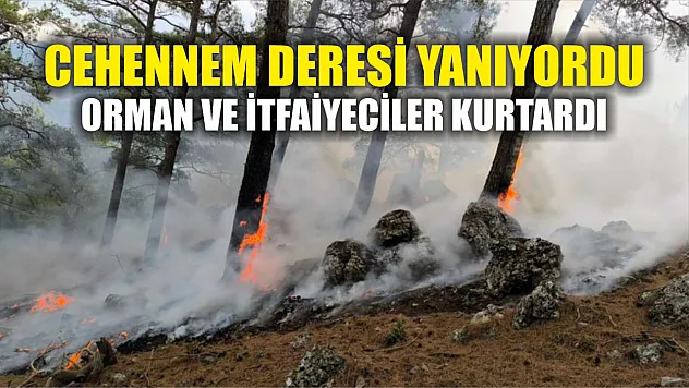Cehennem Deresi yanıyordu, orman ve itfaiyeciler kurtardı