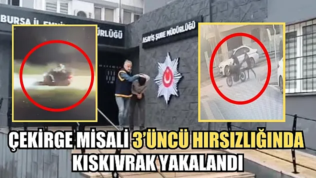 Çekirge misali 3'üncü hırsızlığında kıskıvrak yakalandı