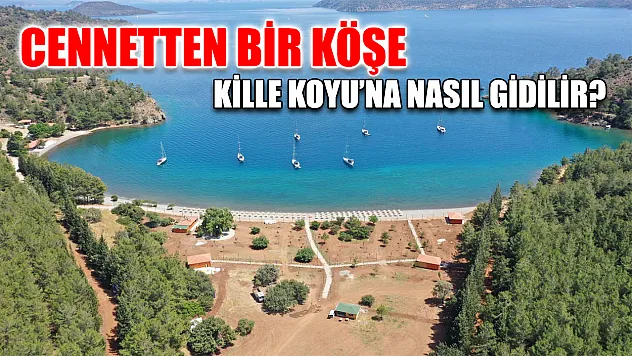 Cennetten bir köşe Kille Koyu'na nasıl gidilir?