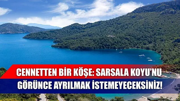 Cennetten bir köşe: Sarsala Koyu'nu görünce ayrılmak istemeyeceksiniz!