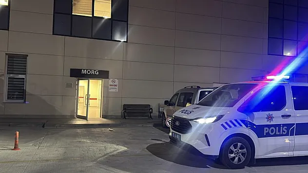 Ceviz ağacından düşen yaşlı adam hayatını kaybetti