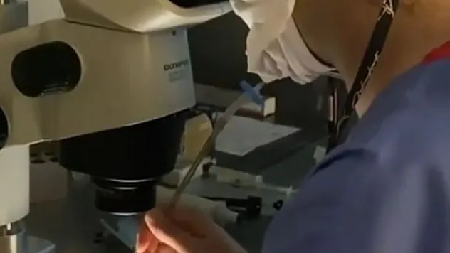 Çevre kirliliği ve şekerli içeceklerin üremeyi de olumsuz etkilediği belirlendi