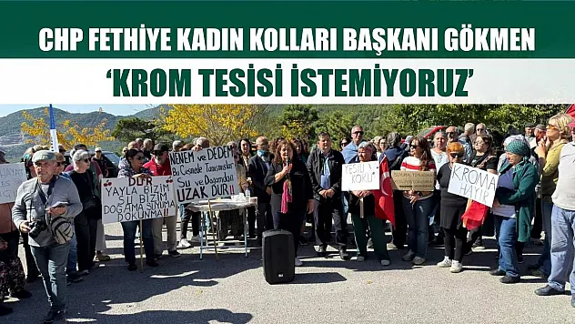 CHP Fethiye Kadın Kolları Başkanı Gökmen: 'Krom tesisi istemiyoruz'