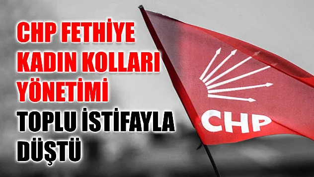 CHP Fethiye Kadın Kolları Yönetimi Toplu İstifayla Düştü