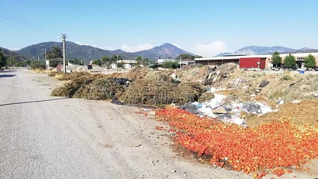 CHP'li Evren Tezcan, bu görüntüler Ortaca'mıza yakışmıyor