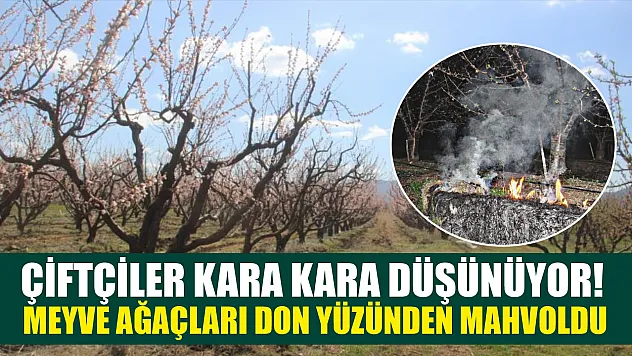 Çiftçiler kara kara düşünüyor! Meyve ağaçları don yüzünden mahvoldu