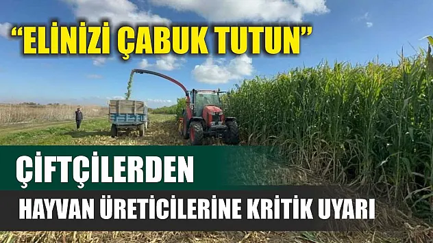 Çiftçilerden hayvan üreticilerine kritik uyarı: 'Elinizi Çabuk Tutun'