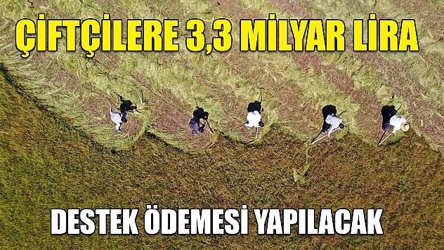 Çiftçilere 3,3 milyar lira destek ödemesi yapılacak