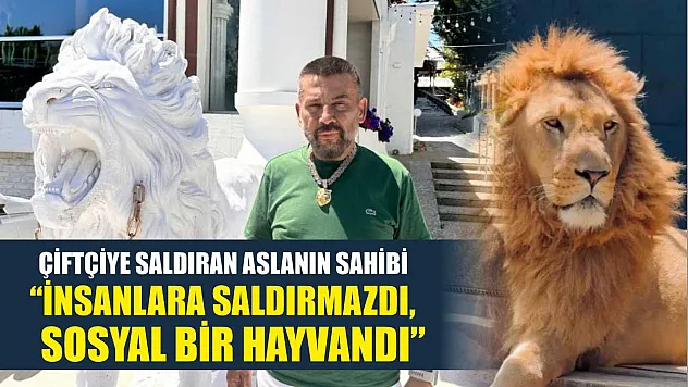 Çiftçiye saldıran aslanın sahibi: 'İnsanlara saldırmazdı, sosyal bir hayvandı'