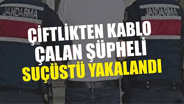 Çiftlikten kablo çalan şüpheli suçüstü yakalandı
