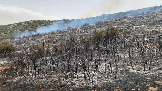Çıkan yangında 60 dönümlük çalılık alan yandı