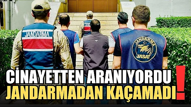 Cinayetten aranıyordu! Jandarmadan kaçamadı