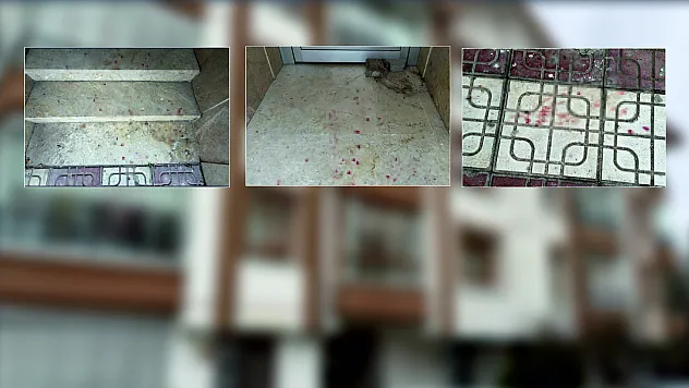Cinnet geçiren koca, eşini kızını ve annesini öldürdü