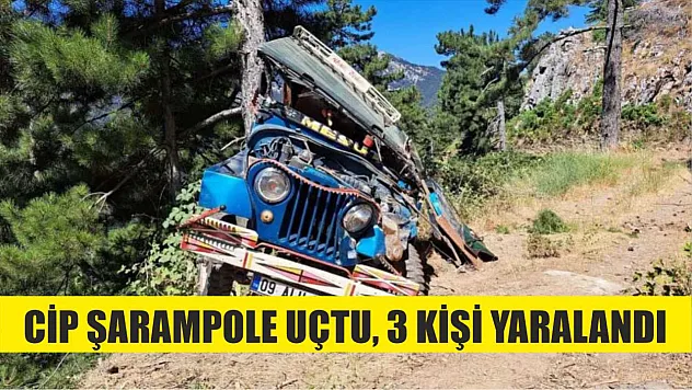 Cip şarampole uçtu, 3 kişi yaralandı