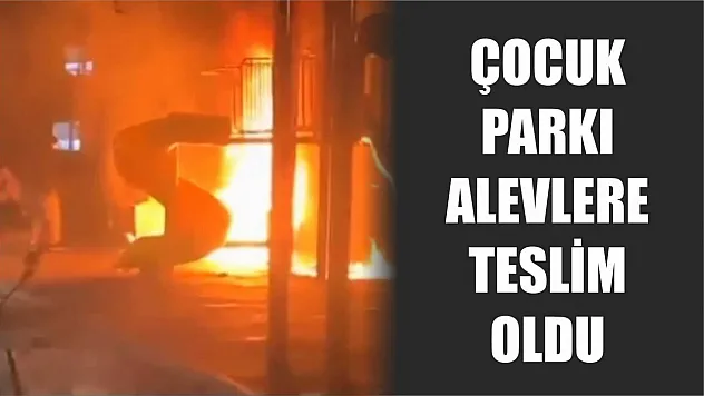 Çocuk parkı alevlere teslim oldu