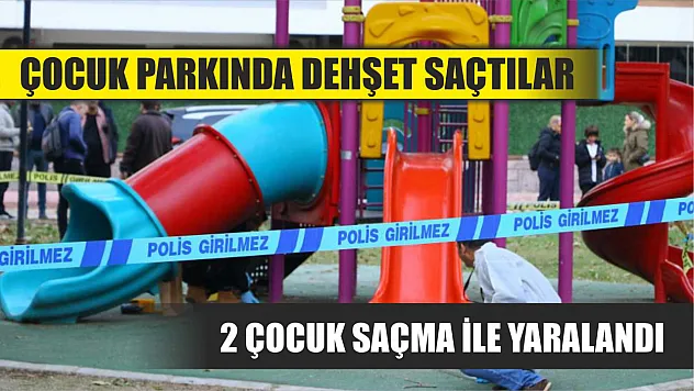 Çocuk parkında dehşet saçtılar: 2 çocuk saçma ile yaralandı