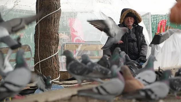'Çocukların Kuşçu Dedesi' kuşlar için meydanı terk etmiyor