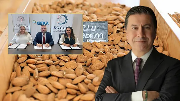 Coğrafi işaretli Datça Nurlu Bademi için Muğla Büyükşehir Belediyesi tesis kuruyor