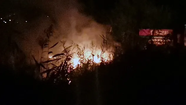 Çöplükte yangın çıktı