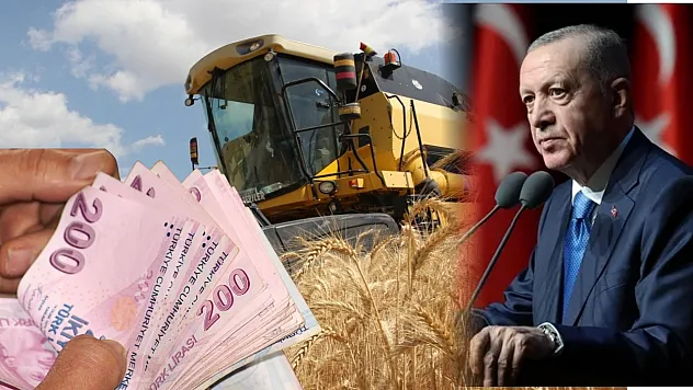 Cumhurbaşkanı Kararıyla Kredi Kolaylığı: Yüzde 100'e varan Faiz İndirimi