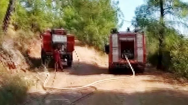 Cumhurbaşkanlığı konuk evi yolu üzerinde yangın