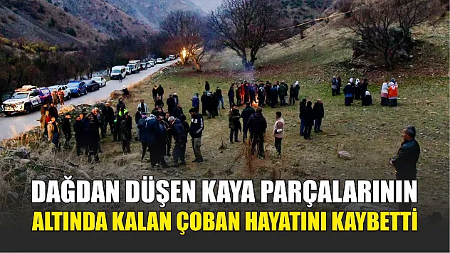 Dağdan düşen kaya parçalarının altında kalan çoban hayatını kaybetti