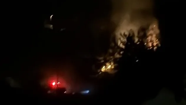 Dalaman'da Orman Yangını Büyümeden Söndürüldü