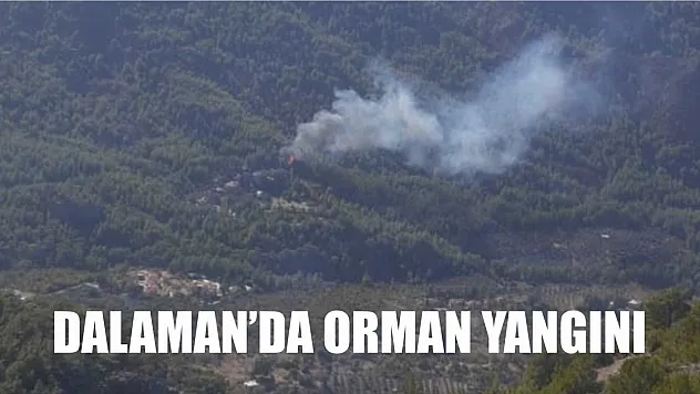 Dalaman'da orman yangını
