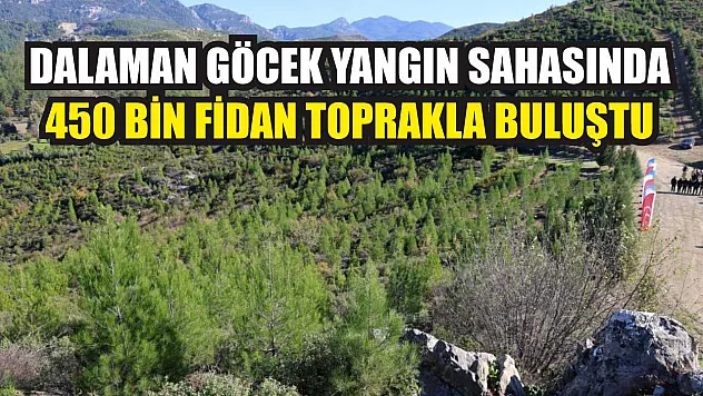Dalaman Göcek Yangın Sahasında 450 Bin Fidan Toprakla Buluştu