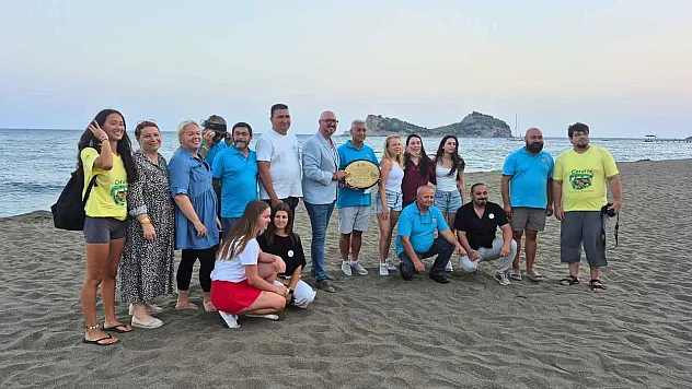 Dalyan ve Sarıgerme'de 6 bin caretta caretta yavrusu denizle buluştu