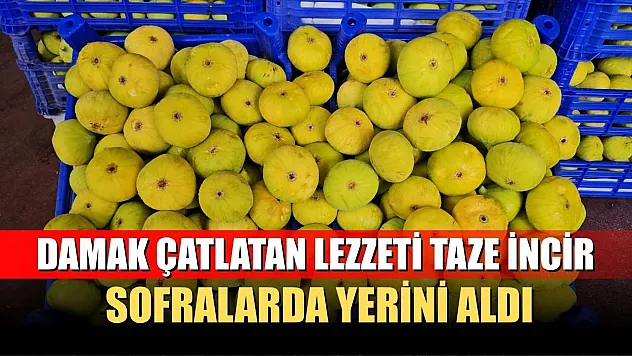 Damak çatlatan lezzeti taze incir, sofralarda yerini aldı
