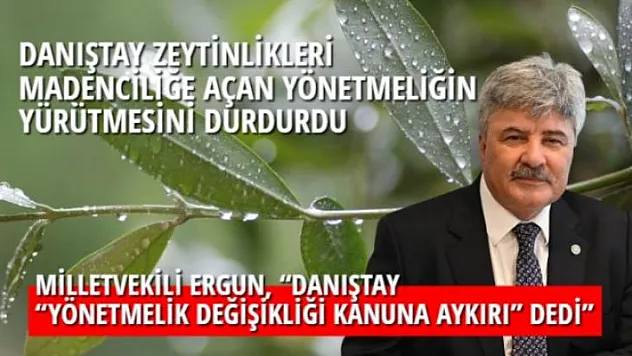 DANIŞTAY ZEYTİNLİKLERİ MADENCİLİĞE AÇAN YÖNETMELİĞİN YÜRÜTMESİNİ DURDURDU