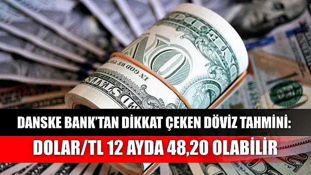 Danske Bank'tan Dikkat Çeken Döviz Tahmini: Dolar/TL 12 Ayda 48,20 Olabilir