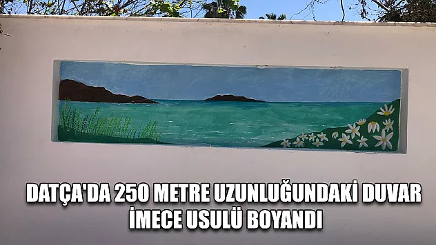 Datça'da 250 metre uzunluğundaki duvar imece usulü boyandı