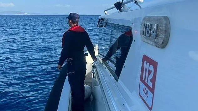 Datça'da bir şahsı deniz kaplumbağasının ısırdığı iddiası