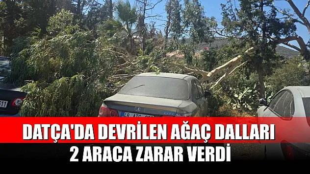 Datça'da devrilen ağaç dalları 2 araca zarar verdi