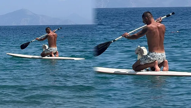 Datça'da kanodaki keçi yavrusu ilgi odağı oldu